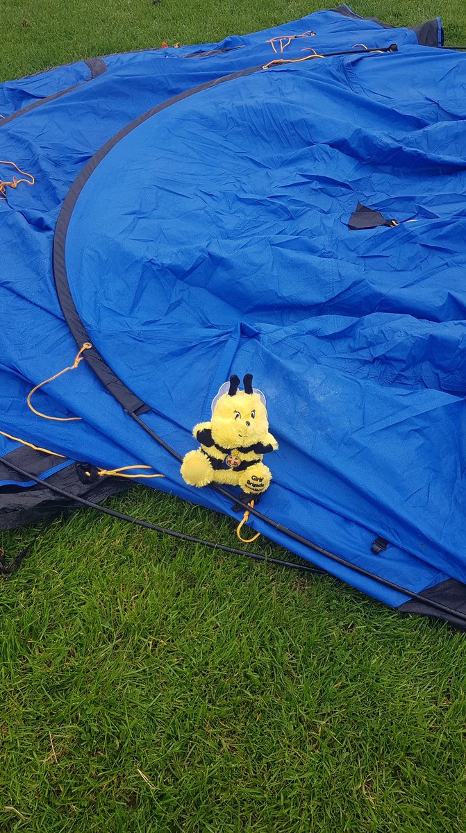 MaggieBeeGB's tweet photo. We made it safe and sound and we are all registered this morning!
Watch out for all my bee adventures this week with @JaynieeCee
#GB125 #GBtheplacetoBEE #Ambassabees #MaggieBee #1stWishawGB #DukeofEdinburghAward #GoldResidential #YLFest18 #BeeAdventures https://t.co/euQWr3XPM7