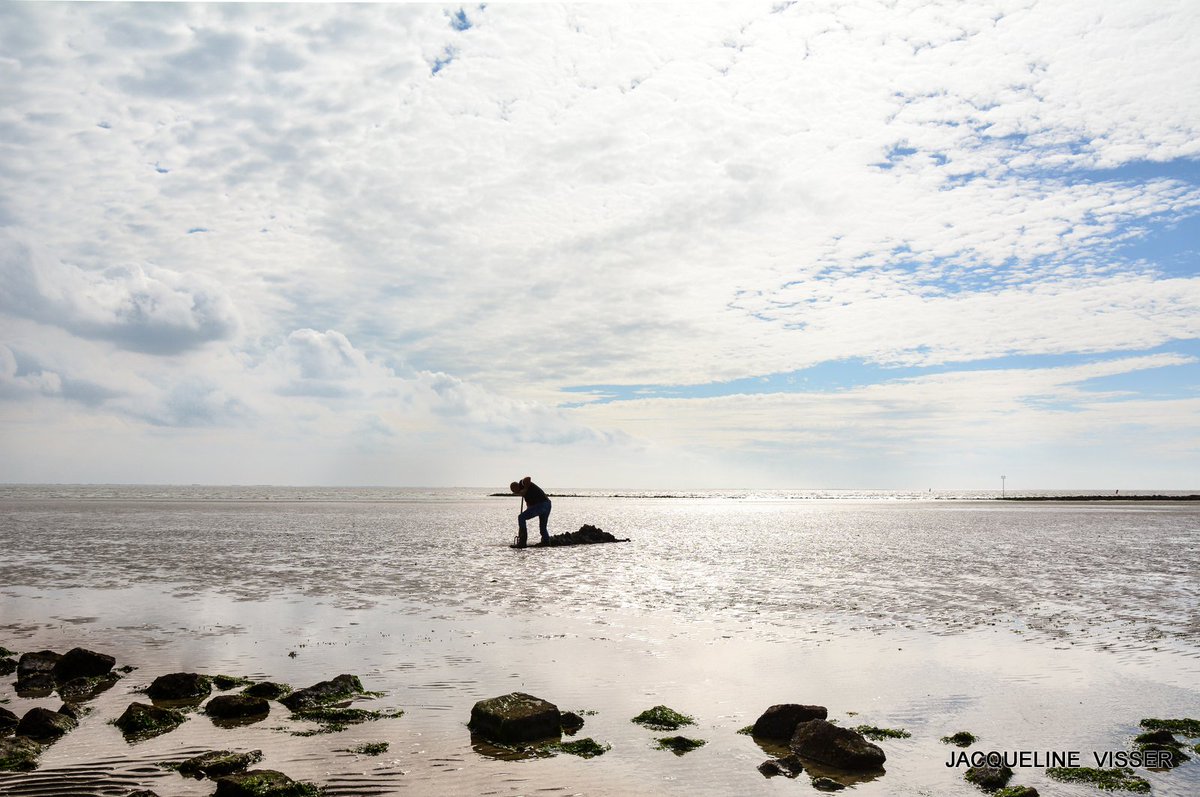 #Ameland #wad pieren steken
