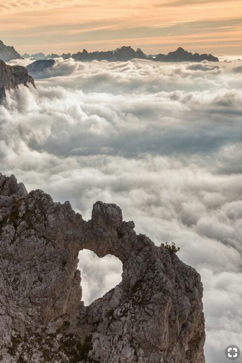 Rock of love hea female