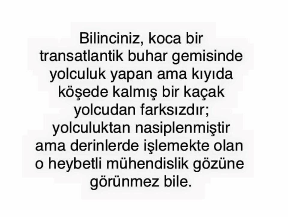 srpetci's tweet photo. https://t.co/cx7MaanjPX