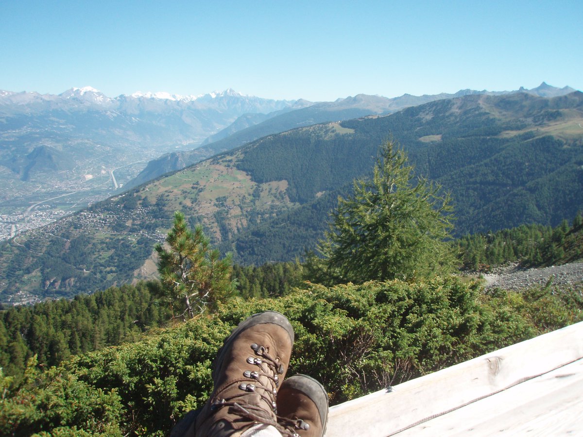 SandrineComte1's tweet photo. #1mot1photo @1mot1photo  
Bout
Bout de mes pieds. Qui a dit que je ne voyais pas plus loin que le bout de mon nez ?... 🤣🤣 https://t.co/9vOagEOQRQ