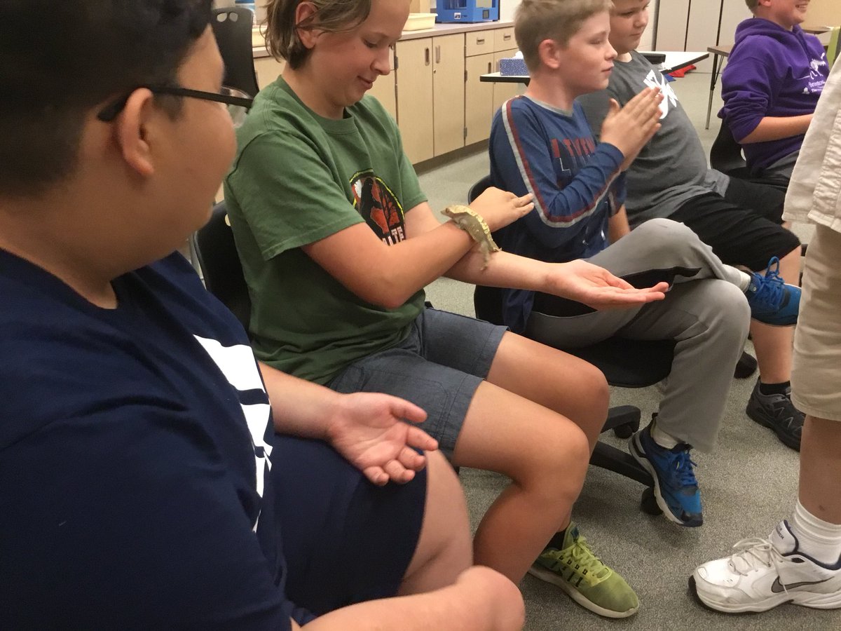 GWA192's tweet photo. GWA Ss got an up close look at some reptiles today and were able to ask questions related to their concept projects (Life cycles and adaptations). They saw a tortoise, crested gecko, blue tongued skink, and two kinds of snakes. #isd192 #launch192 https://t.co/DfnPQuop62