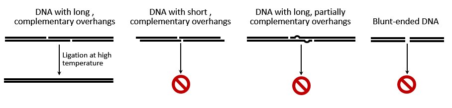 Lucigen Corporation tweet media
