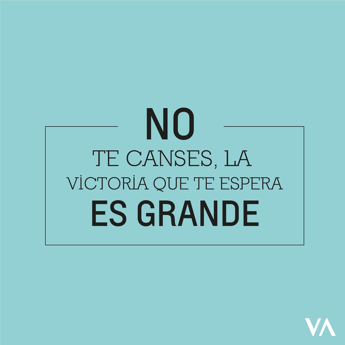 Revista VidActiva tweet media