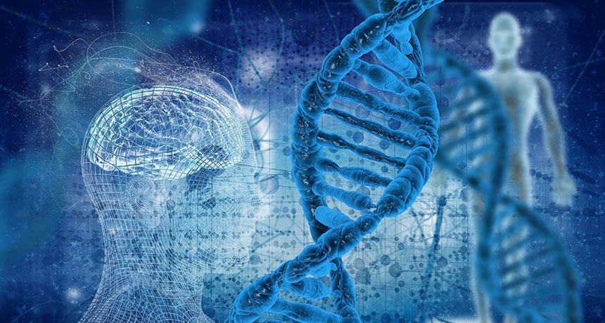 BCH_Innovation's tweet photo. A recount of human #genes ups the number to > 46,000, including some non-protein-coding genes that encode RNAs: https://t.co/m7RIH5rNOB via @SN_Saey @ScienceNews https://t.co/YzvACzPJ64