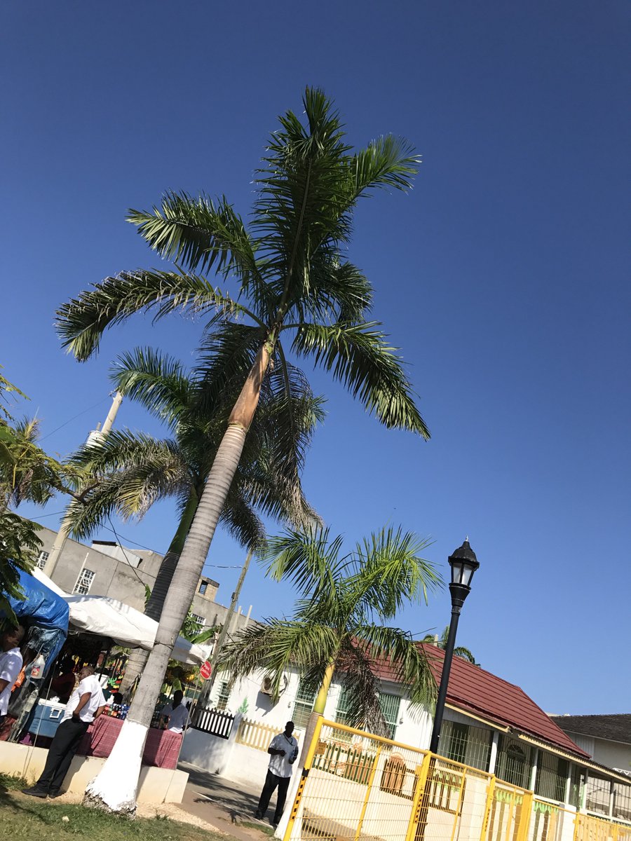 MaestroMarley's tweet image. Being outdoors is when I’m most happy. Love looking at pictures of my hometown, Falmouth. Where are all my fans from? #fankey