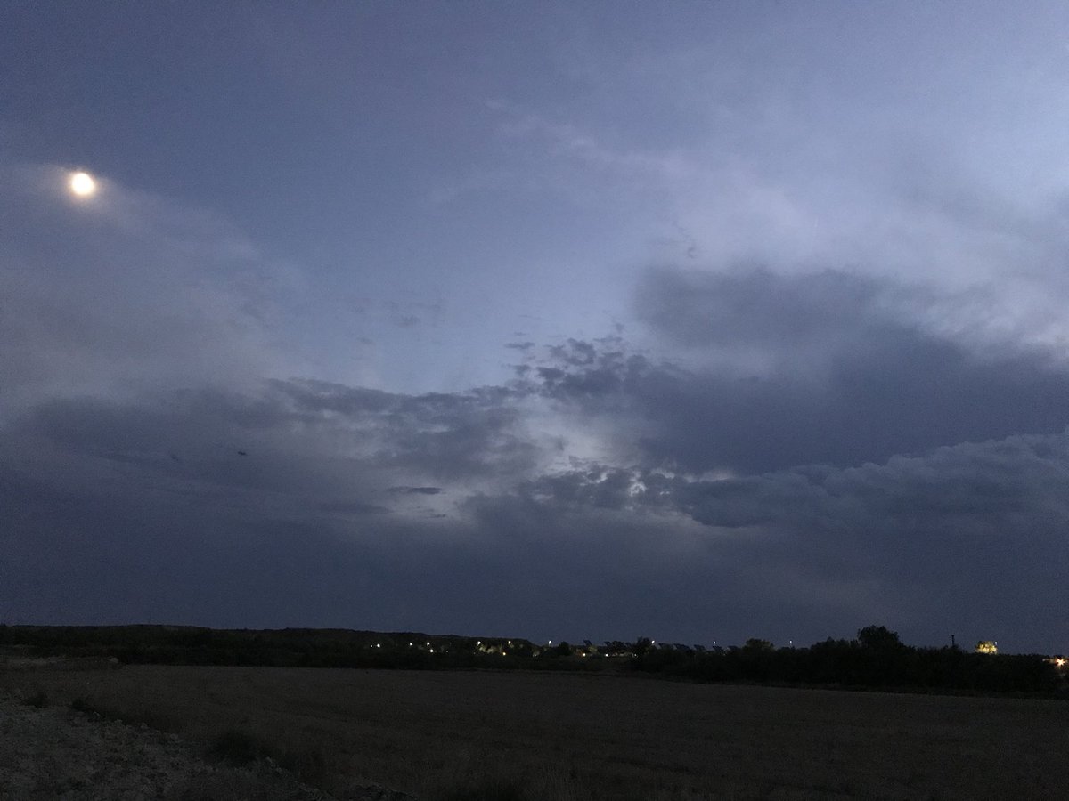 Sandro Mainar tweet media