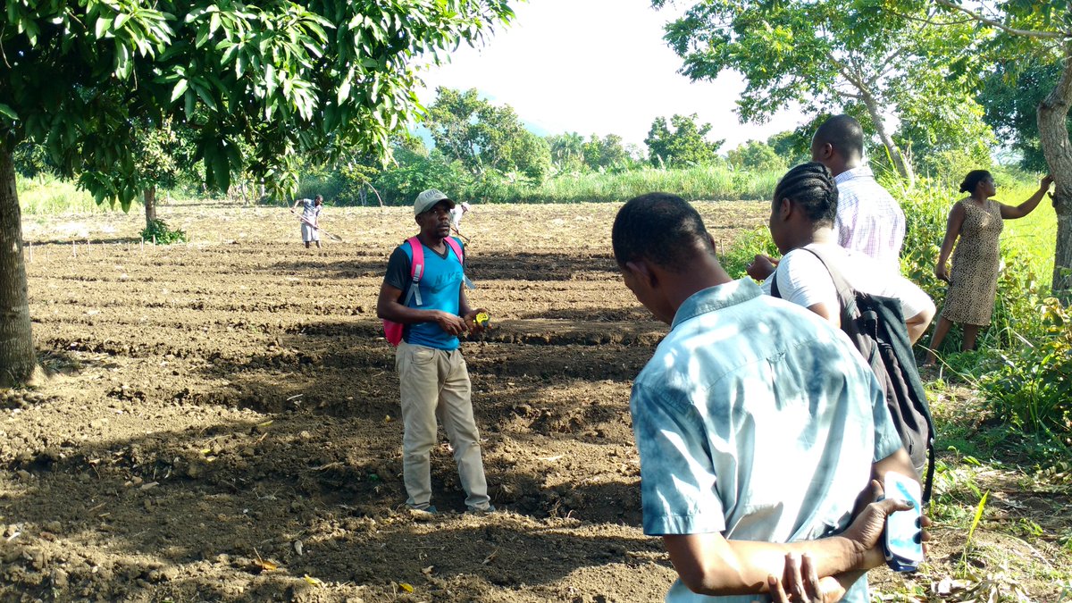 PartnersWorldwideHaiti tweet media