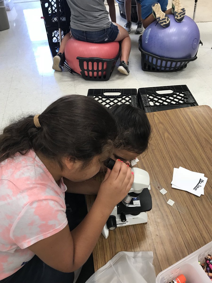 mta_marlins's tweet photo. Martin Medical students are finding the nucleus of cells using the microscope. #stemrelevance #mtastem #futurescientists https://t.co/4rbU3MoJ8F