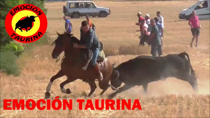 EMOCIONTAURINA's tweet photo. ''Caballo tira a jinete y susto'' Encierro en el campo Macotera (Salamanca) 2018

https://t.co/IyIiTTXmmc https://t.co/ypf6U4E3zu