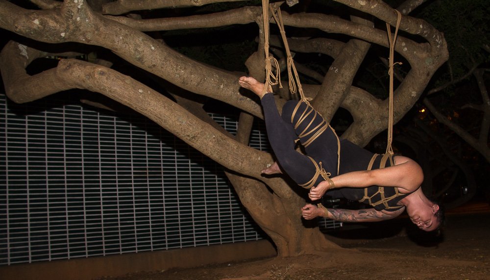 coletivoshibari's tweet photo. Cordas + árvores do cerrado = ❤️
#coletivoshibari #shibari #kinbaku #womenwhotied #japaneseropebondage
R: unholyblasphemies M: vapporay P: @opticfetish https://t.co/3CFn3UhxIq