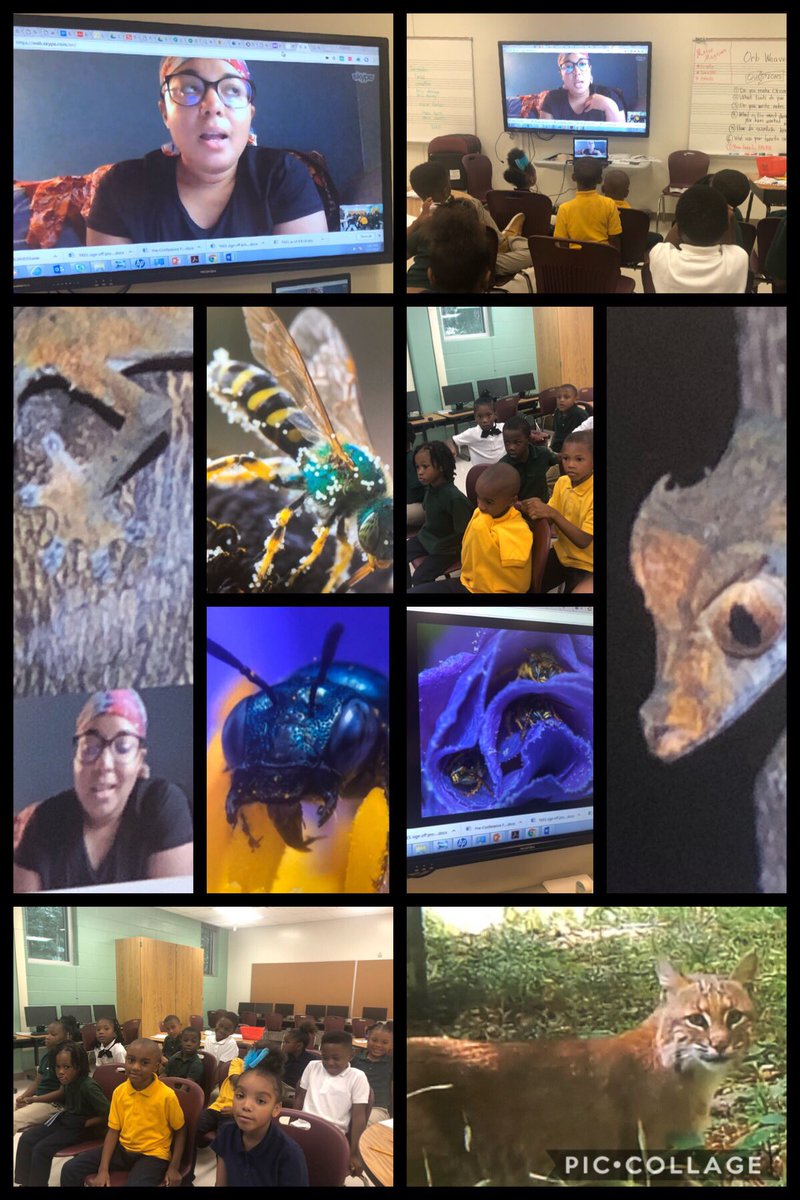 Meleisa4Gifted's tweet image. Of course It was a perfect day to SKYPE-A-SCIENTIST!! 👩‍🔬 @PrincipalK_APS @APSBoydES @APSGifted   #skypeascientist #funlearning #lotsofquestions #apsgate