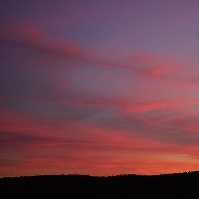 Heimatliebe_WMH's tweet photo. Ein weiterer toller Sonnenuntergang über dem Sauerland!
#filterfrei -
-
-
#Heimatliebe #winterberg #medebach #hallenberg #wimeha #sauerland #hochsauerland #deinnrw #nrw #natur #naturliebhaber #wirsindsauerland #1live #natur #sonnenuntergang https://t.co/YCmzIGTHoj https://t.co/BiT8GWm4br
