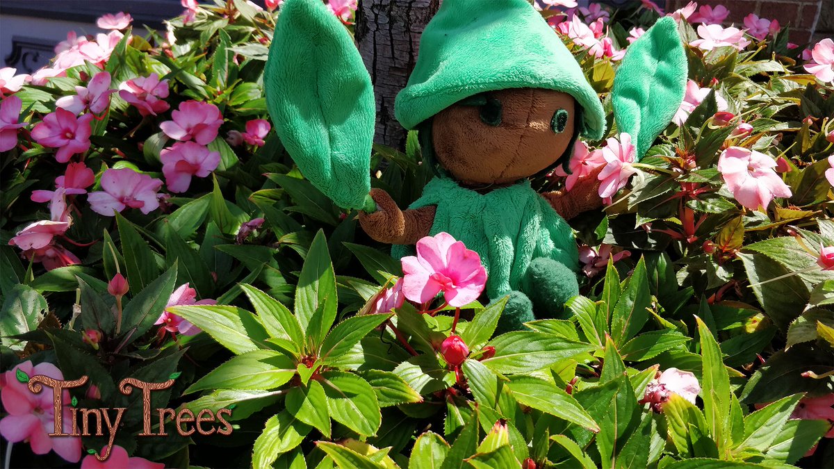 Can you believe that September is more than halfway over? Time passes so quickly when you’re having fun, and Fisaven has had a great time this month! 

#indiedev #boardgame #gamedev