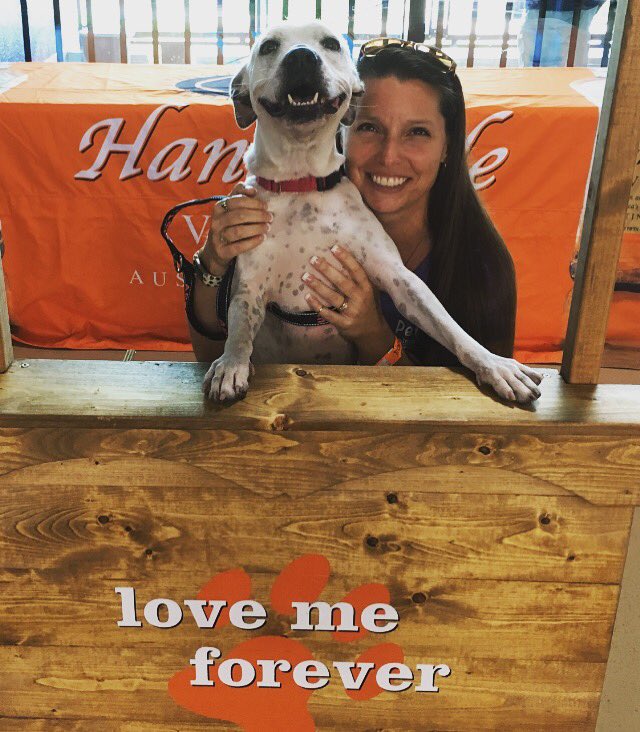 Maisey is still available for adoption!  She had a blast at #dogdayattherays yesterday with Michelle!  She left with a ton of @TitosVodka loot too! ❤️🐾⚾️🐶#vodkafordogpeople #TitosHandmadeVodka @RaysBaseball