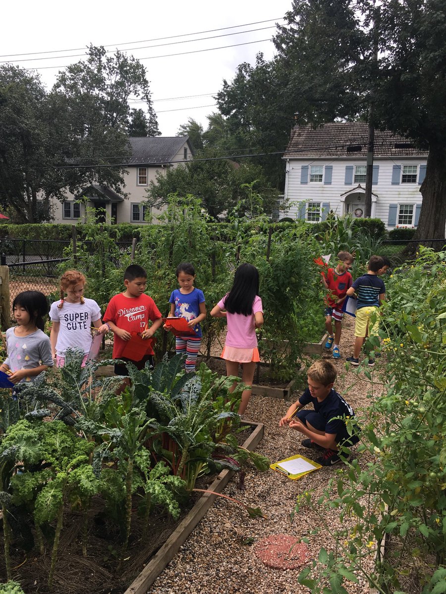 EDMrsHuang's tweet photo. First fall visit to the garden! Plant Part Scavenger Hunt was a great way for us to focus and make observations. We found a root, stem, leaf, flower, fruit, and seed. We harvested vegetables (green beans, purple beans, and carrots) and planted arugula seeds. #edgewoodproud https://t.co/tBh8D6ffdh