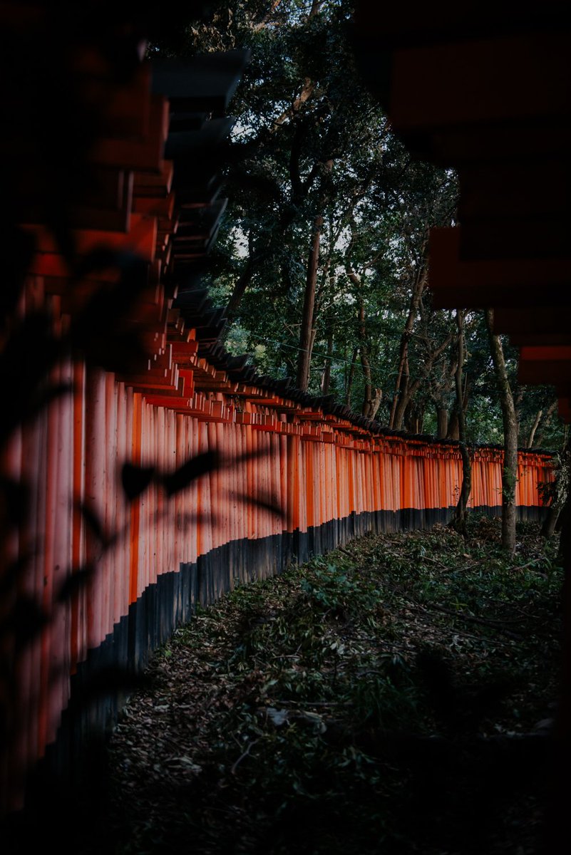 amritasinghart's tweet photo. @Aeroplan so happy to be back in my favourite city #kyoto #japan #withAeroplan https://t.co/w8OA81A2Uj