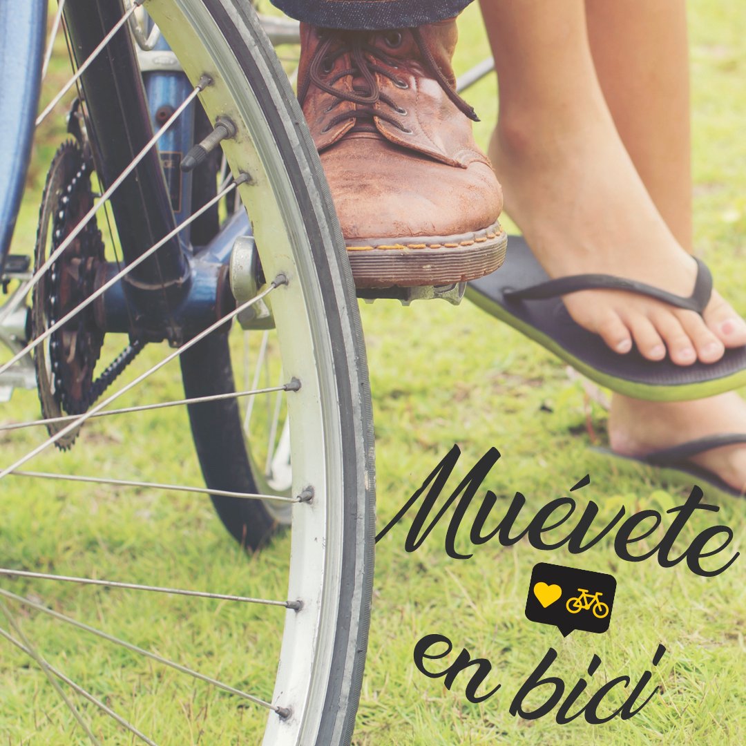 subicicleta's tweet photo. "La gente feliz se mueve en bici"
#Muevete en #Bici 🚵🚵🚴🚴💪💪
•
#CompraVendeYRueda #Bike #Bicicleta #CompraYVenta #rutaciclismo #Ciclismo #EventoCiclismo #CiclistasVenezuela #CompraYVenta #ILoveBici #BikeLovers #BiciLovers #Frases #MondayMotivation 🚵🚵🚴🚴️️️️️ https://t.co/EIploEPeDF