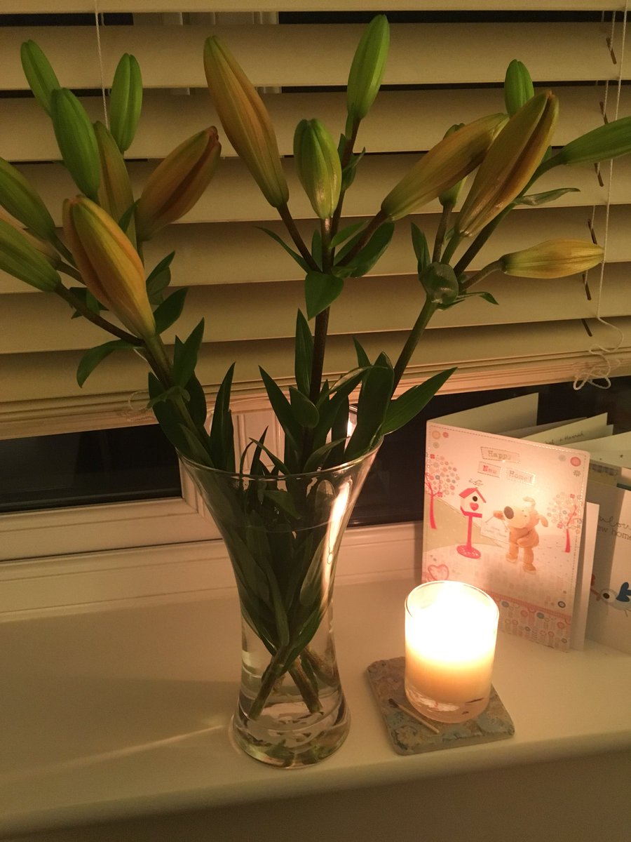 RachelHornerSLT's tweet photo. Officially moved home! So blessed to have such a loving Speechie Team!😍 Thank you for the flowers @OliviaGHallam ❤️❤️❤️ https://t.co/PATqlz58gA