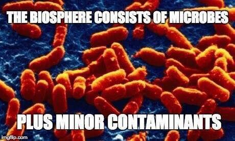 markowenmartin's tweet photo. Some #MicrobialTruth for a Happy #InternationalMicroorganismDay @univpugetsound @ASMicrobiology https://t.co/5bVt4AaJgP