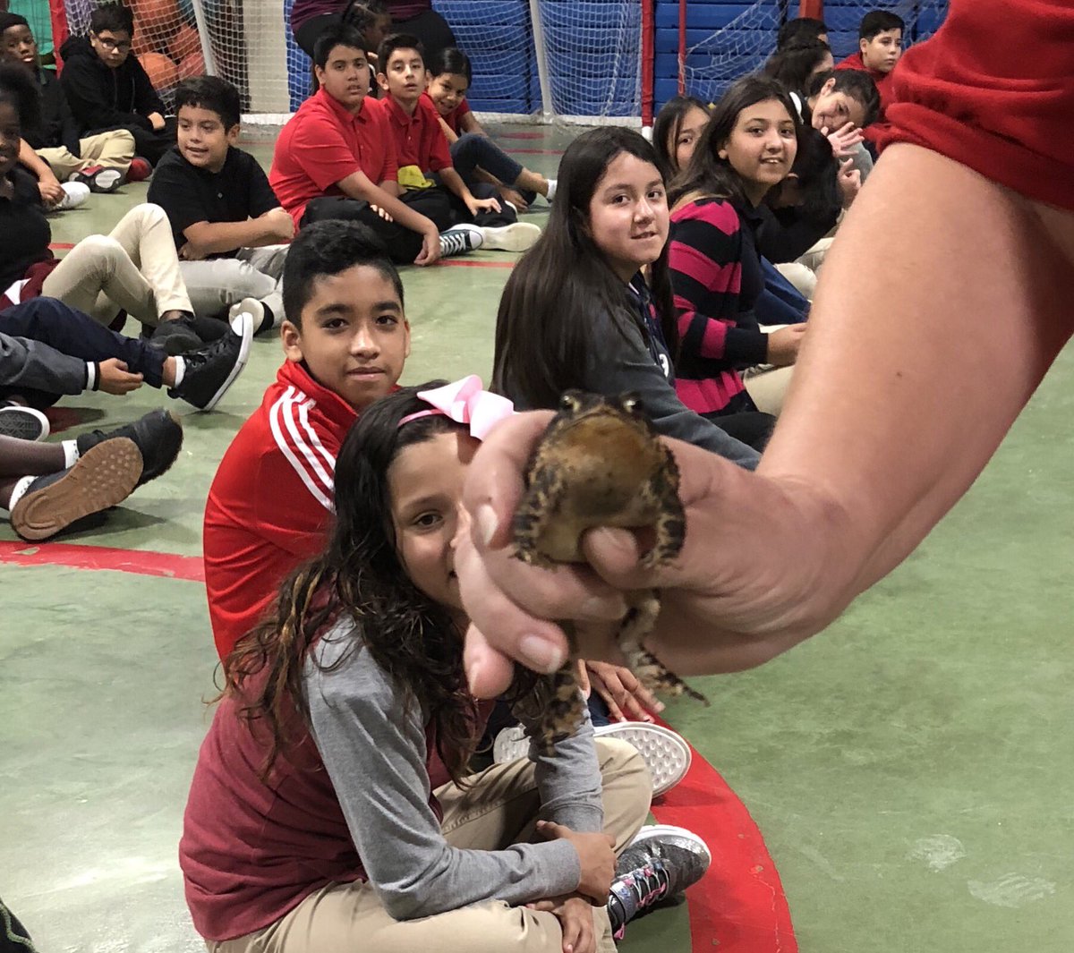 KariDierks's tweet photo. We had some special visitors π πΈ π’ today to help us learn more about science @smithacad #learningwithanimals #KidsDeserveIt https://t.co/tIfElgxEfW