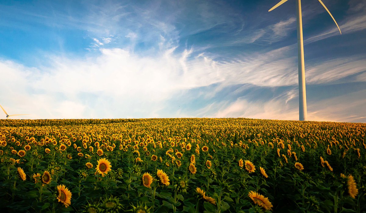 A full list of #green #degrees, #careers, resources, #colleges in #sustainability can be found via our research publication at bit.ly/2hEoayL.