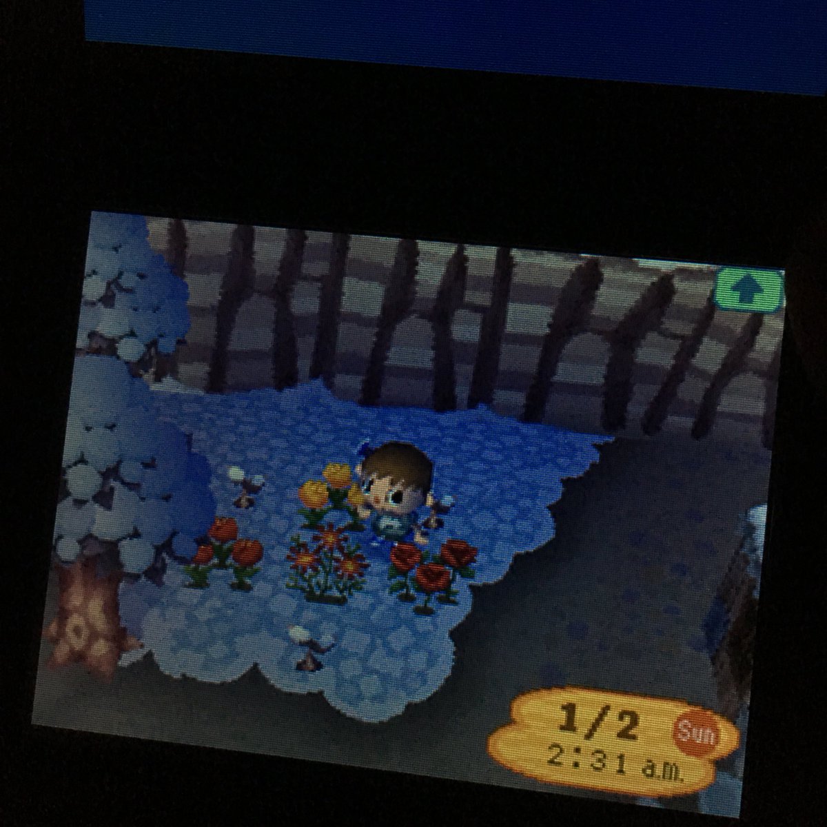 basedplzza's tweet image. this image is cursed 🤣