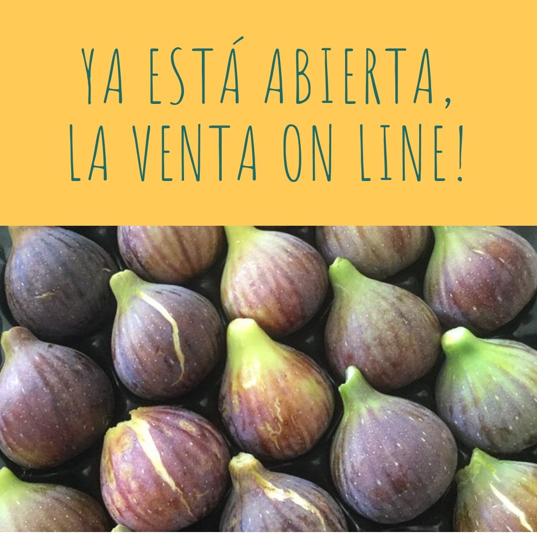 frutadeverdad's tweet photo. Estamos listos para escuchar tus deseos y salir corriendo al campo a recoger los higos más jugosos, prepararte un lindo paquete y enviártelo para que te chupes los dedos con nuestra fruta. #higos #frutadeverdad #huesca https://t.co/6mjkOnoWy9