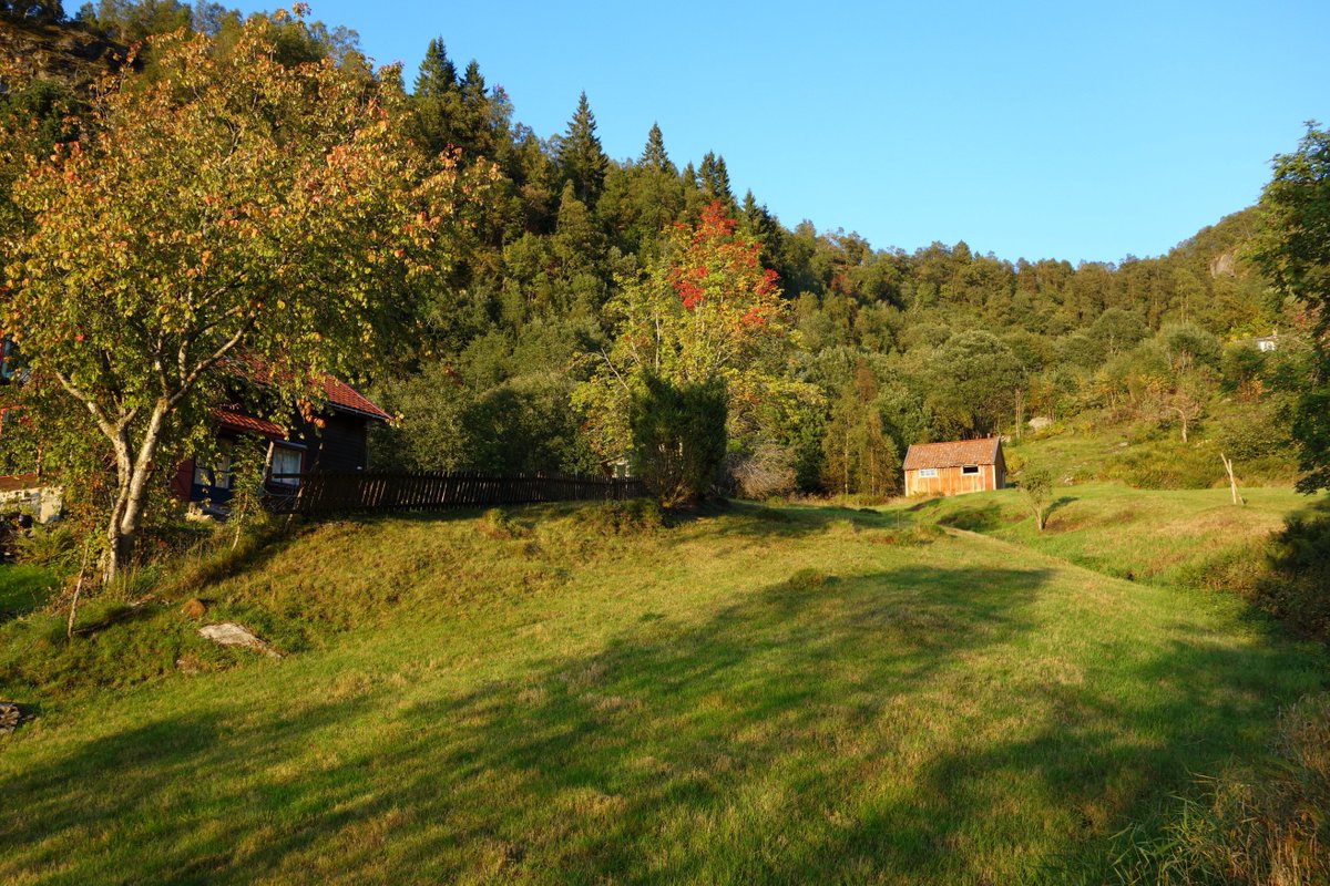 Hermod Nitter tweet media