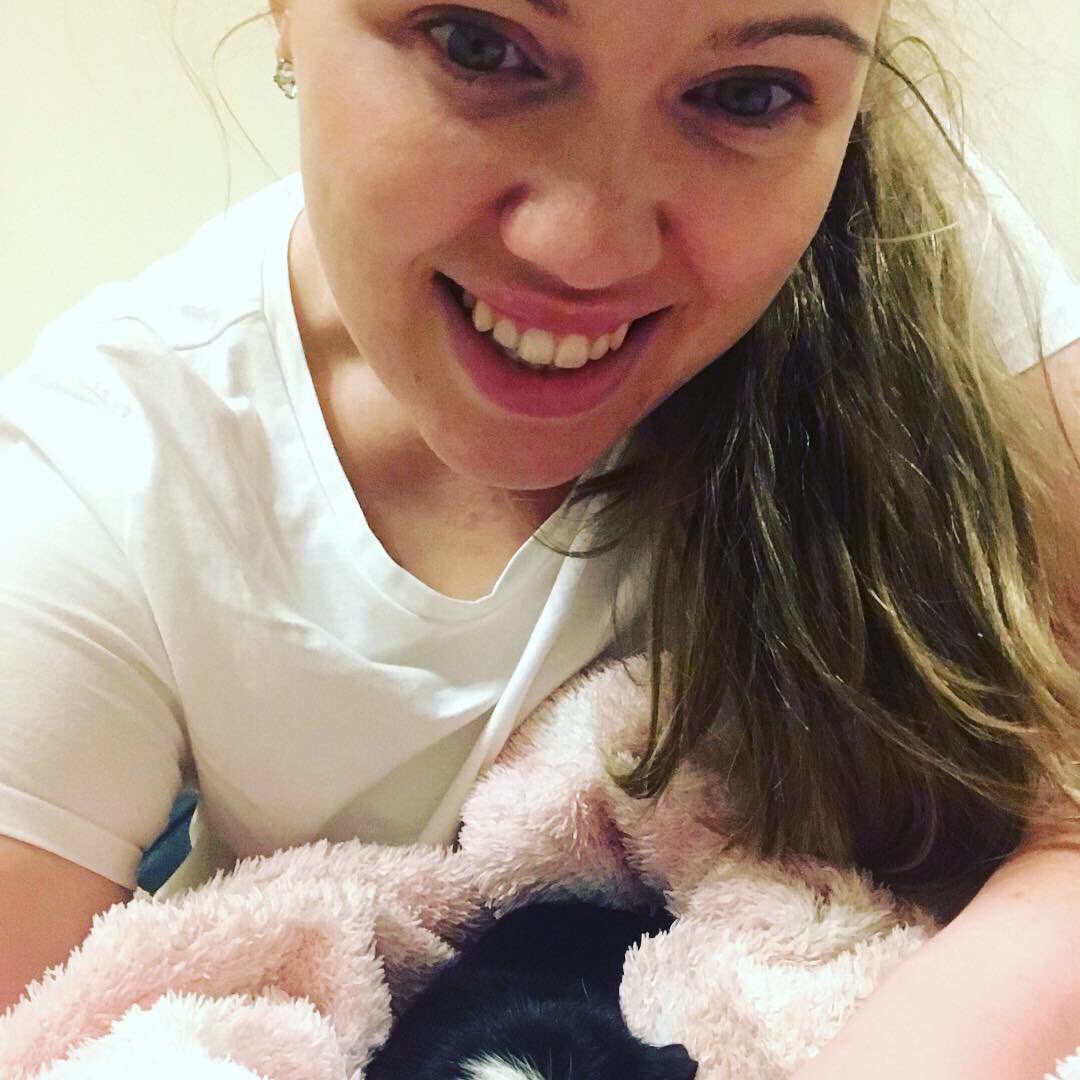 SpecsLady_Faye's tweet photo. Finally home after a whirlwind week. Fair to see this little guy was pleased to see his mom #guineapigs #pets #Sightcare2018 #SightCareConference #OptomPig https://t.co/60UCfzRnKB