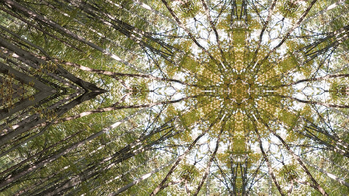 Executives and customer experience practitioners don’t always see eye-to-eye on the impact AI will have on CX. Find out why. #IBMIBV ibm.biz/aicxreality