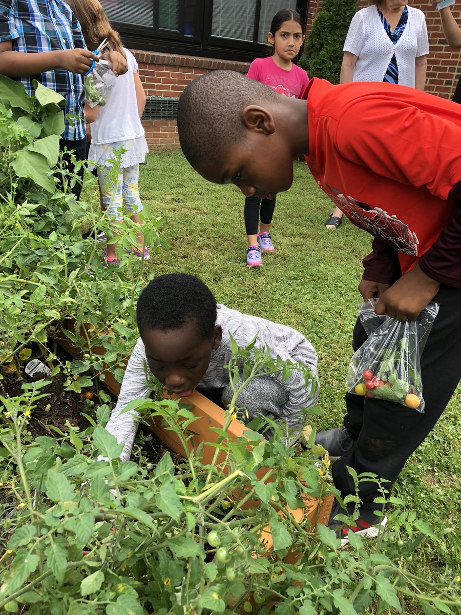 Erin Ferrin tweet media