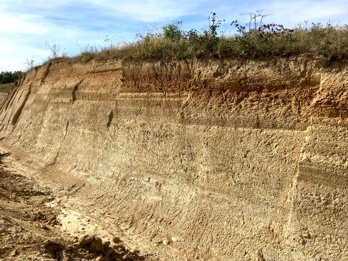 WRB2022's tweet photo. Romania-day 1: WRB field tour Transylvania, profile 3: 
This was an interesting soil; a Stagnosol. It also had a.o. a vertic horizon and albic material. 
Full name:
Eutric, Luvic, Vertic, Albic Stagnosol (Aric, Katoclayic, Epiloamic, Ochric)
#WRB2015 #soil #classification https://t.co/3vj9NCMVZW
