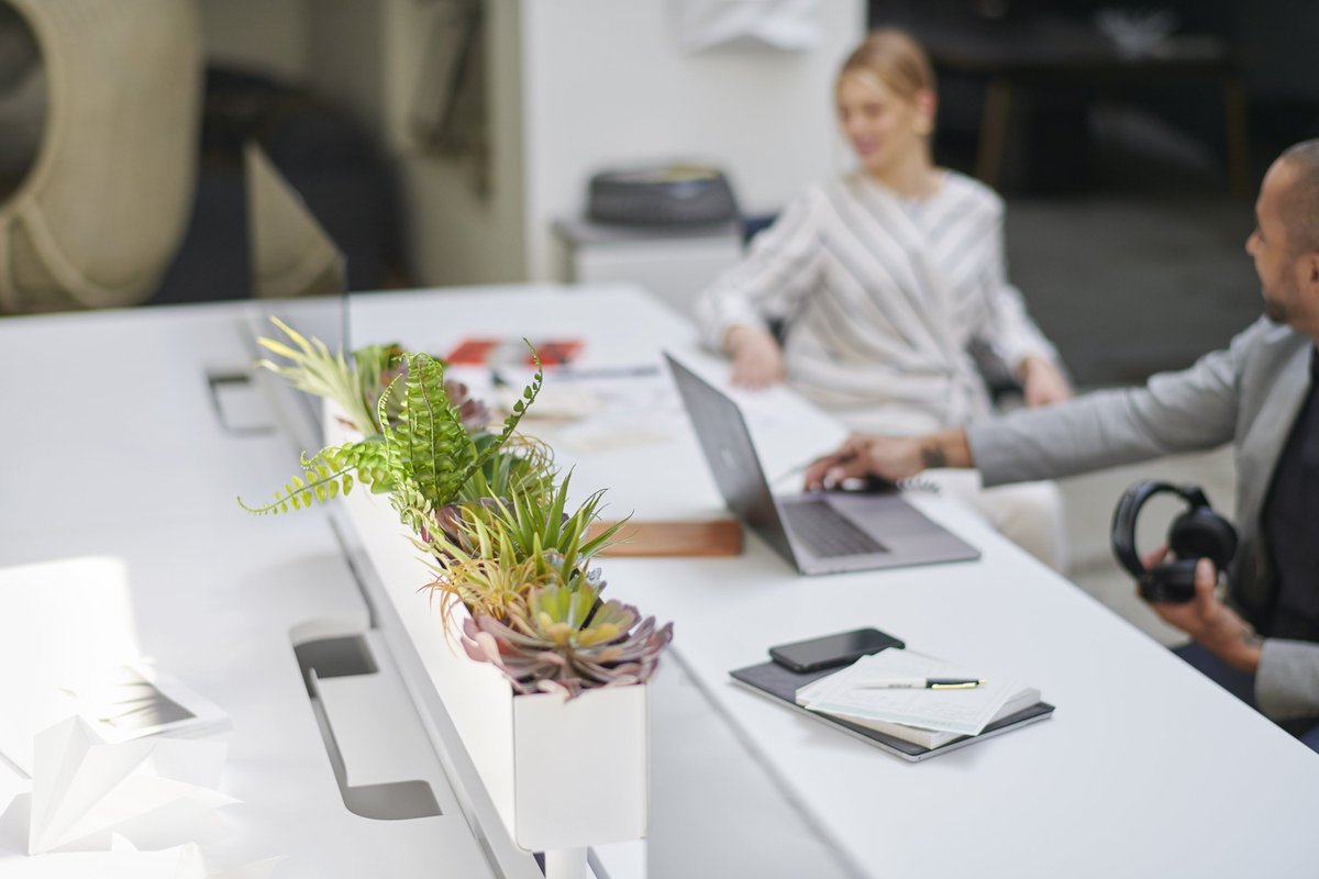 MyInscape's tweet photo. The RockIt Bench accessories allow you to personalize your workspace. 
#inscape #rockitbench #biophilicdesign
https://t.co/hflhViOCfh https://t.co/jj9tue5J0z