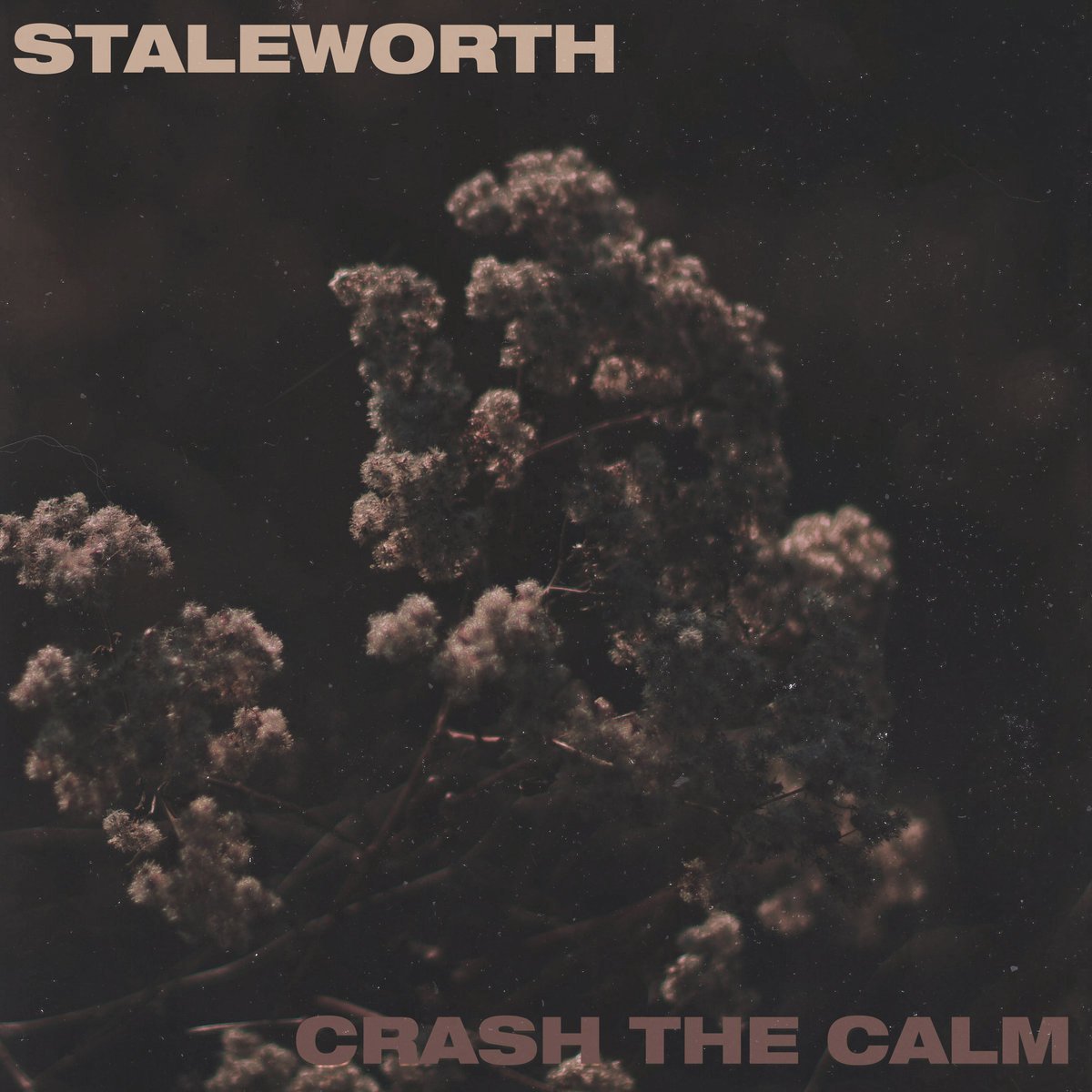 Hailing from the #hardcore, #punk, #emo hotbed of Long Island, New York, <a href="/Staleworth_/">Staleworth</a> and <a href="/_crashthecalm/">🥴🤙🏻</a> recently combined to release a split EP on <a href="/DownportRecords/">Downport Records</a> . Here's their #trackbytrack overview. puregrainaudio.com/reviews/stalew…