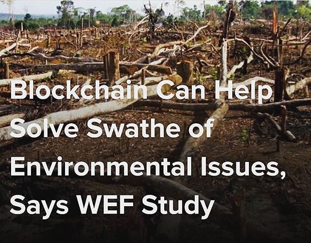 FLBlockchain's tweet image. New research by the World Economic Forum (WEF) has identified over 65 ways blockchain tech can be used to address some of the most urgent environmental challenges facing the planet.

The insight study, conducted in partnership with auditing giant PwC and… ift.tt/2xmYn6e