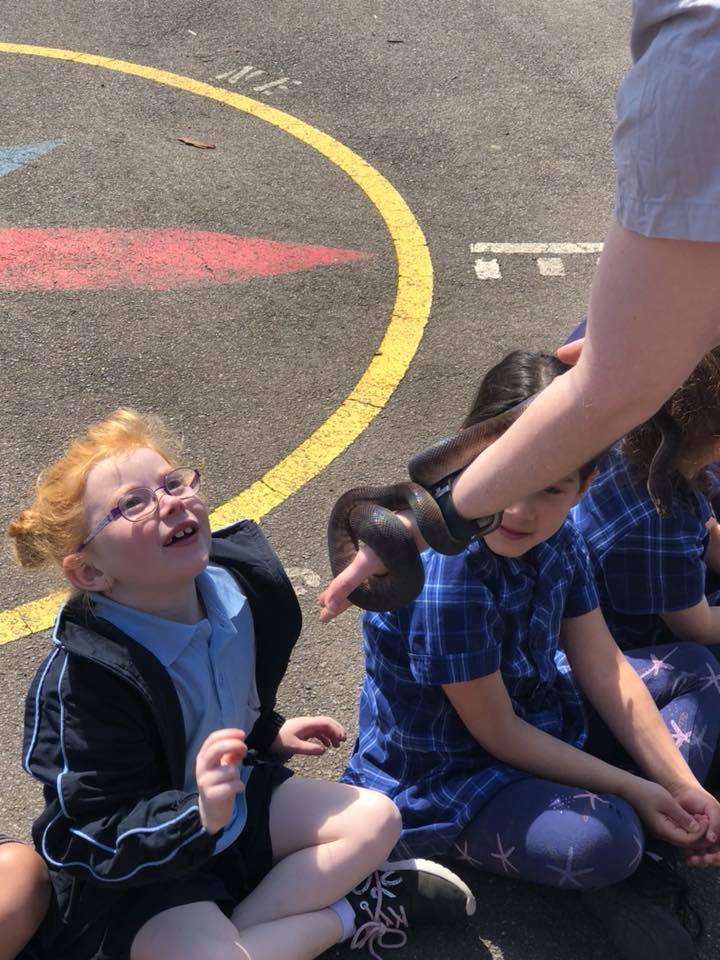 Bidwill Public School tweet media