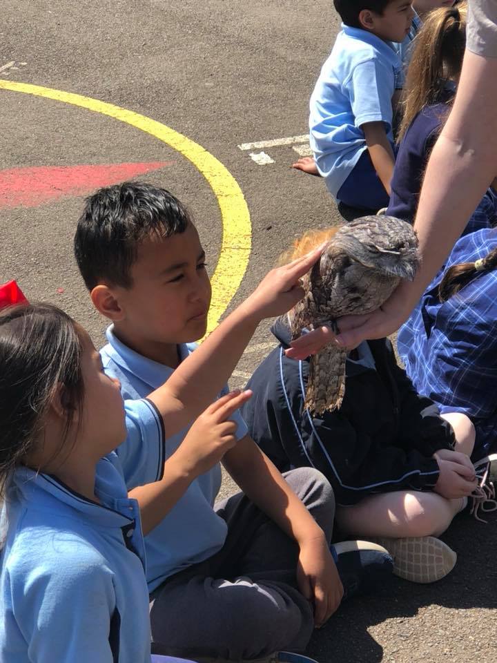 Bidwill Public School tweet media