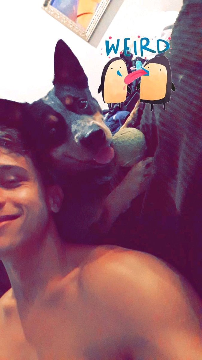 TLade's tweet image. 