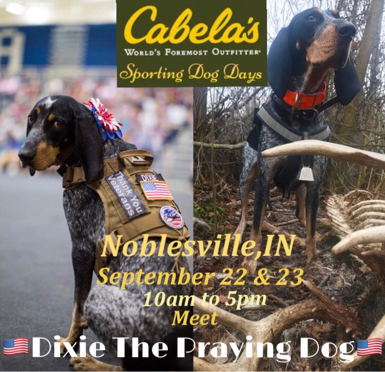 Dixietheprayin1's tweet photo. Stop by the Noblesville,IN @Cabelas on September 22nd and 23rd and meet me at their Sporting Dog Weekend! My dad will help w any of your training questions.They’ll have some cool giveaways for your pup also! 🇺🇸🐾 #unitedbloodtrackers #dogbonehunter #dogbone @SportDOGBrand https://t.co/UADXshATMW