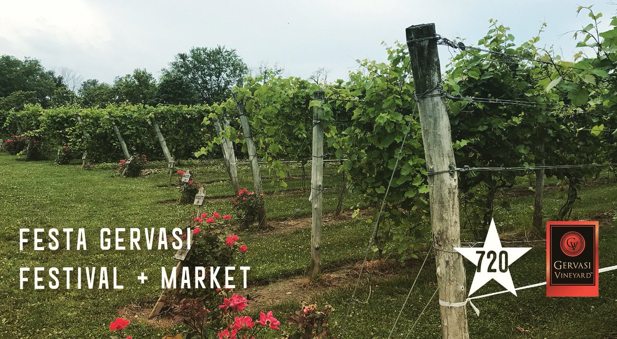 #SEPT30 outdoor shopping + grape stomping + wine drinking #fall #familyfun #festival #market #festagervasi @GervasiVineyard