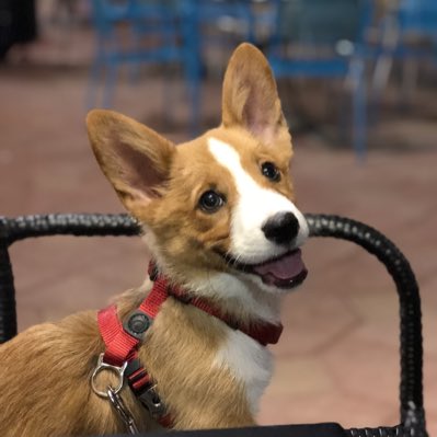 mcphotofl's tweet photo. #NewProfilePic https://t.co/JeV50Lzci1