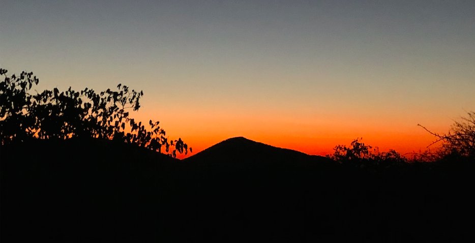 Sara Krakauer tweet media