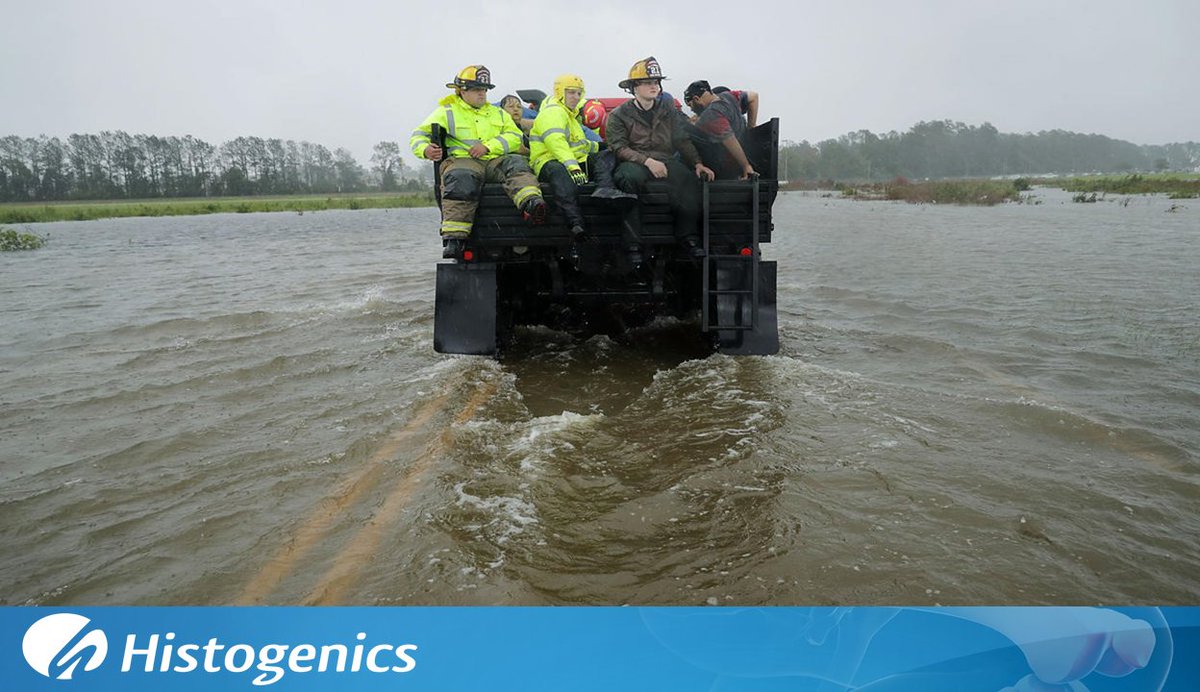 Histogenics tweet media