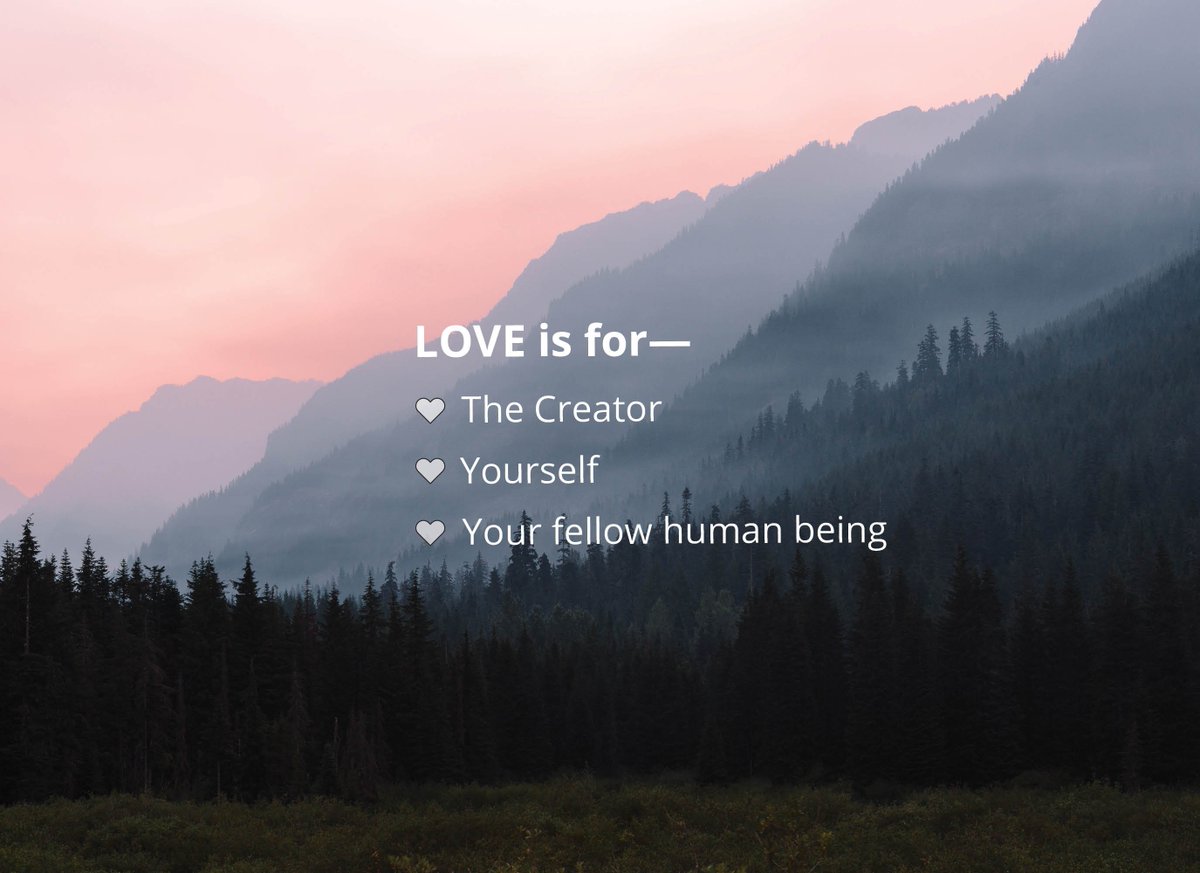 Impact Society tweet media