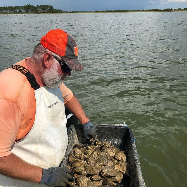 Our work at @aushellfishlab A team effort. Glen Chaplin is a crucial part of that team. ift.tt/2OxWcnR