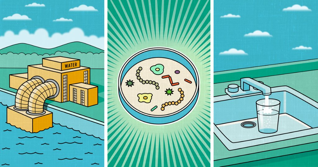 westerndigital's tweet image. When organic life can no longer survive in water environments, it’s called a “dead zone.” Help prevent these before they start by keeping chemicals out of our water supply. #DataImpact #DataMakesPossible
wdc.li/6015DFyPV