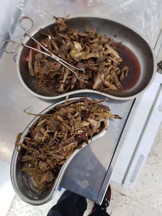 Vc dá ossos ao teu cão?
Ele come e gosta, certo?
E se agora eu disser que estás matando o seu próprio cão?
Não dê ossos aos cães, pense bem depois ver estas imagens...