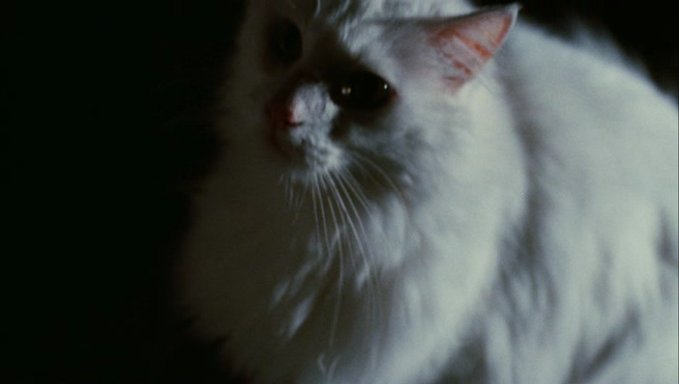 <a href="/Crow1One/">The Crow 𓄿🎭</a> @FianceeOfHeaven [I smile while I lean forward to take him in my arms and look him in his eyes.] "Gabriel is very more than my eternal friend for me ; he's my baby. [Start to caress his neck and kiss him.]