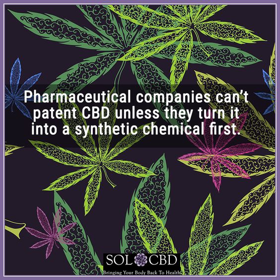 CBDoilPurest's tweet photo. CBD oil all natural better for your body!

#PainRelief  @CBDoilPurest #CBDoil #naturalhealing https://t.co/A5O9NqsUdx